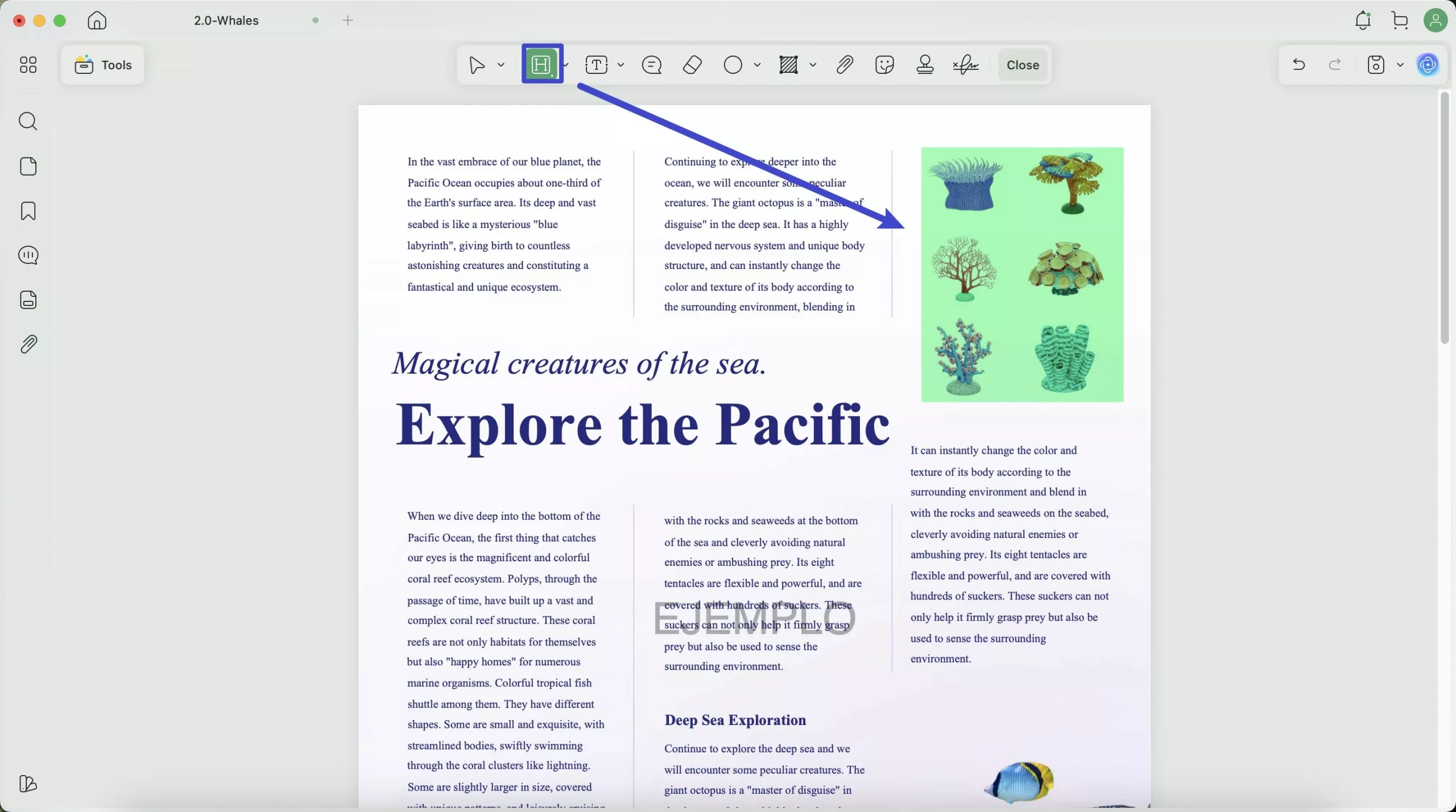 Highlight aread with updf on windows