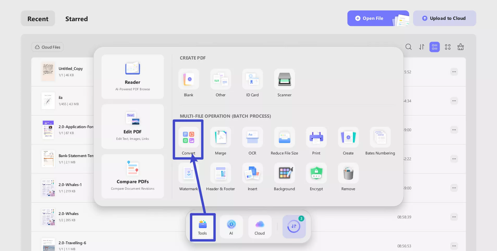 choose the batch convert
