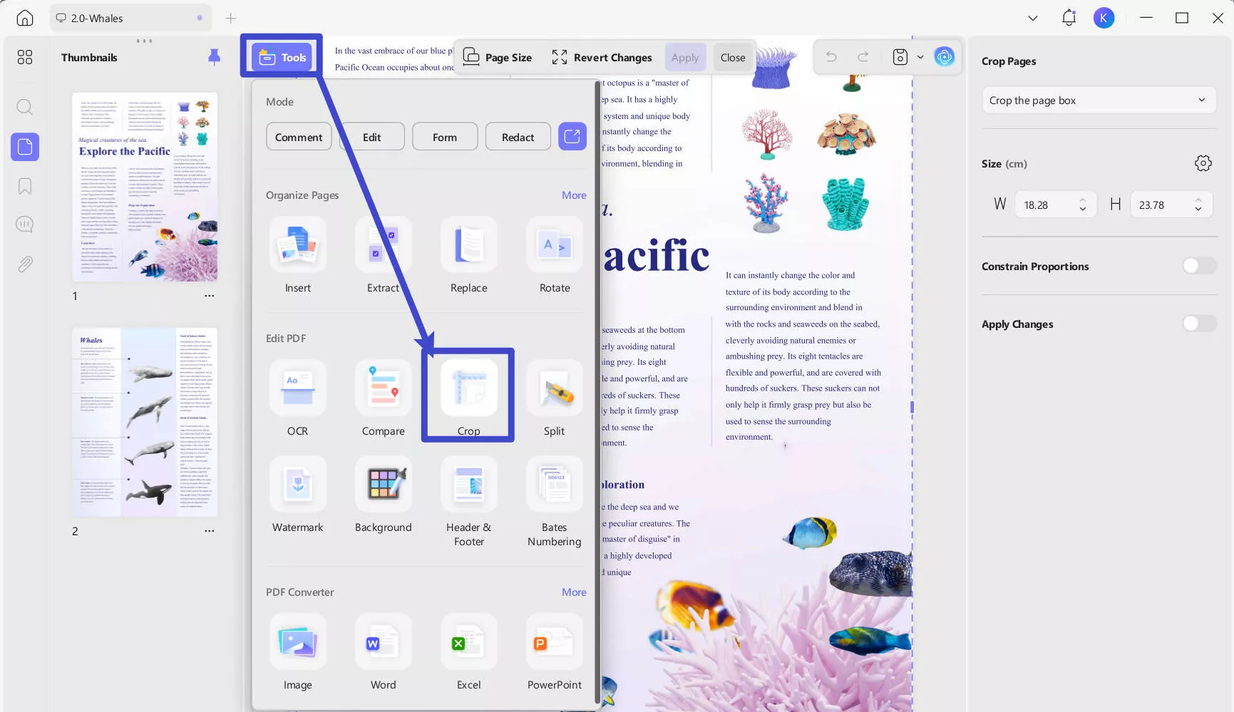 go to crop tools in updf