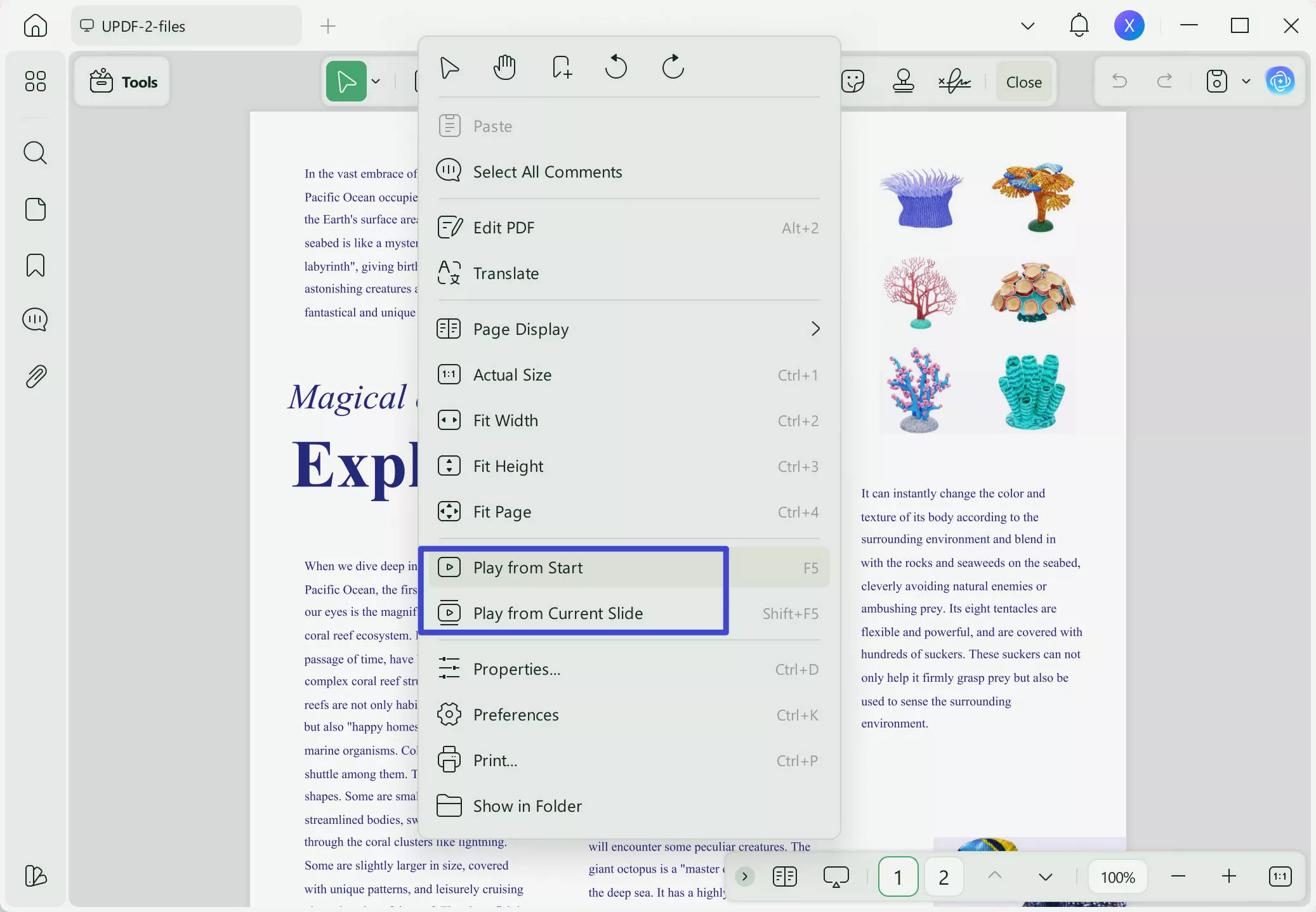 read pdf page display