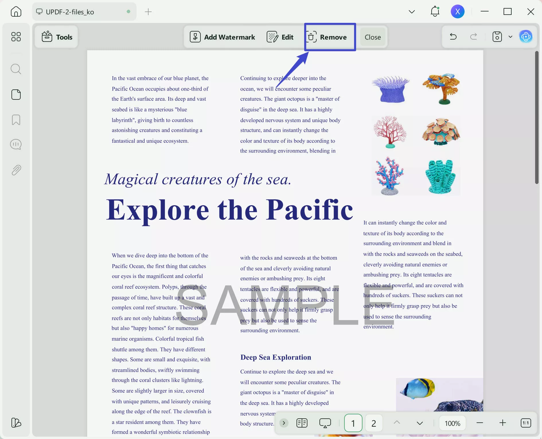 what is watermark remove watermark