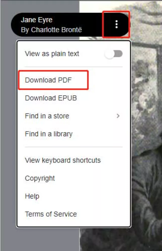 download Google Books as PDF