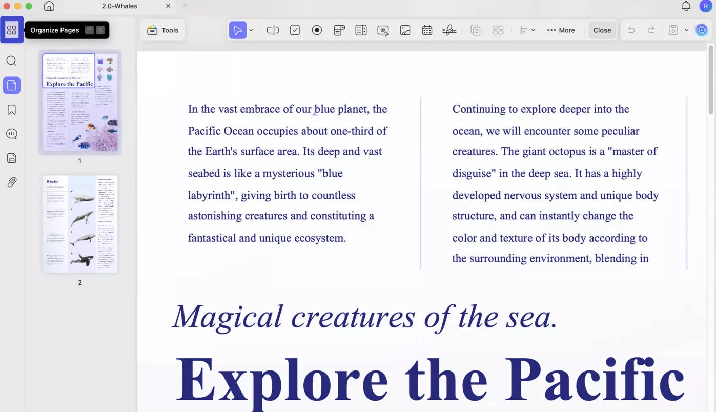 reverse order of pdf pages updf organize page icon mac