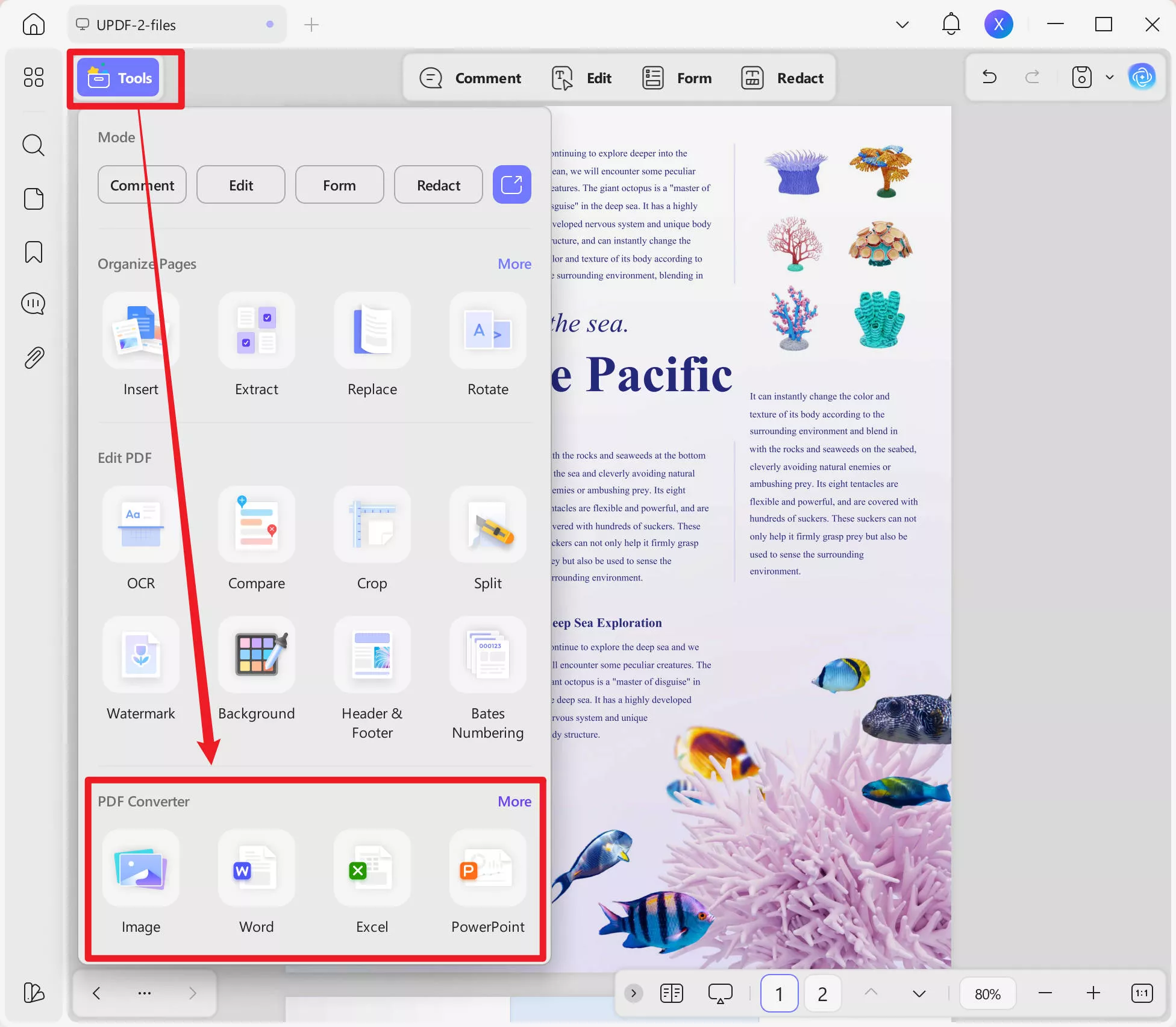 pdf vs html pdf to html