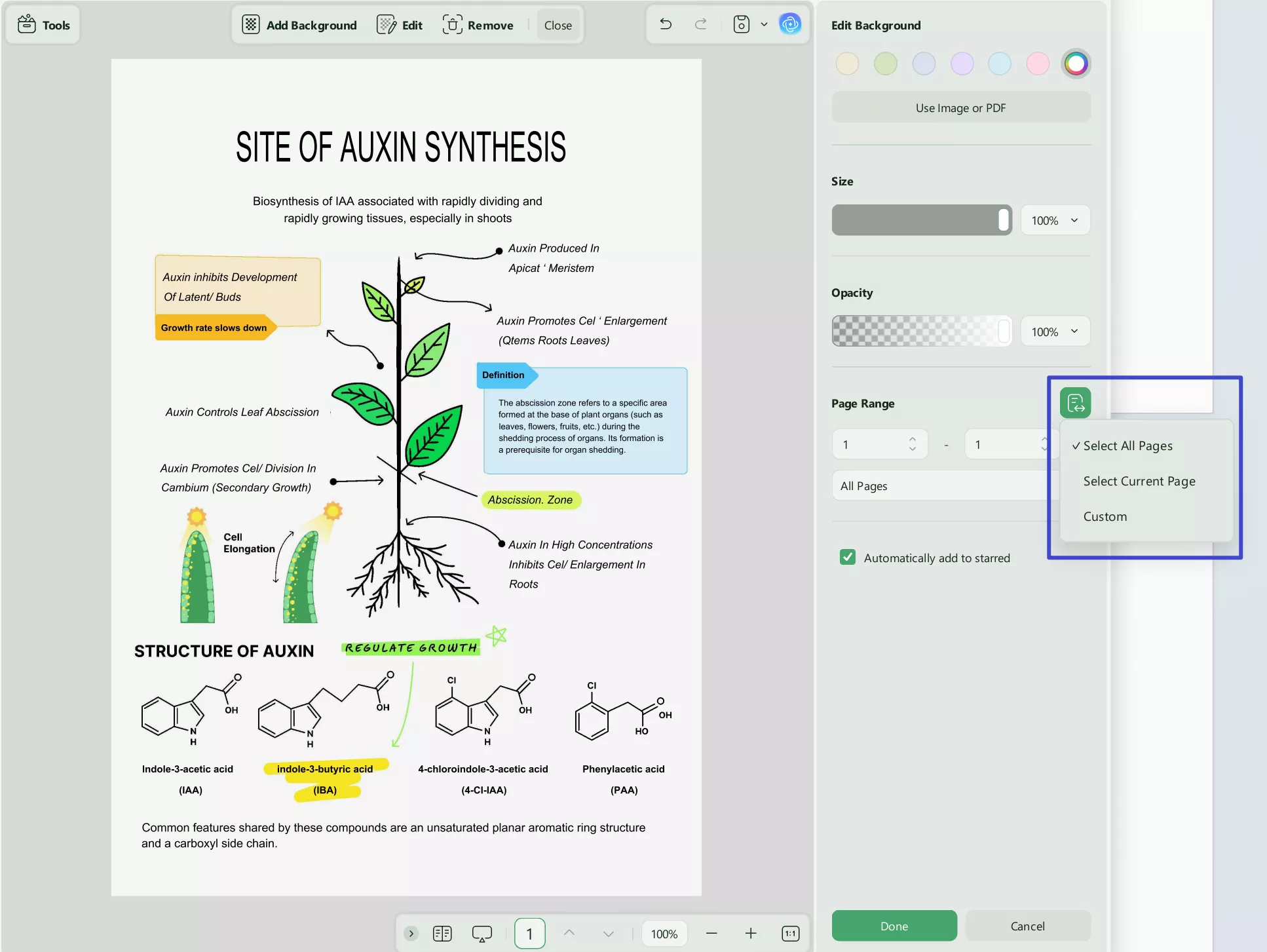 Batch Background Convert