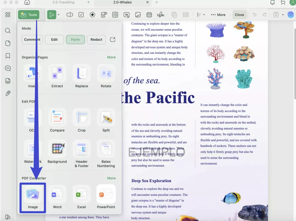 snapshot pdf pdf to image