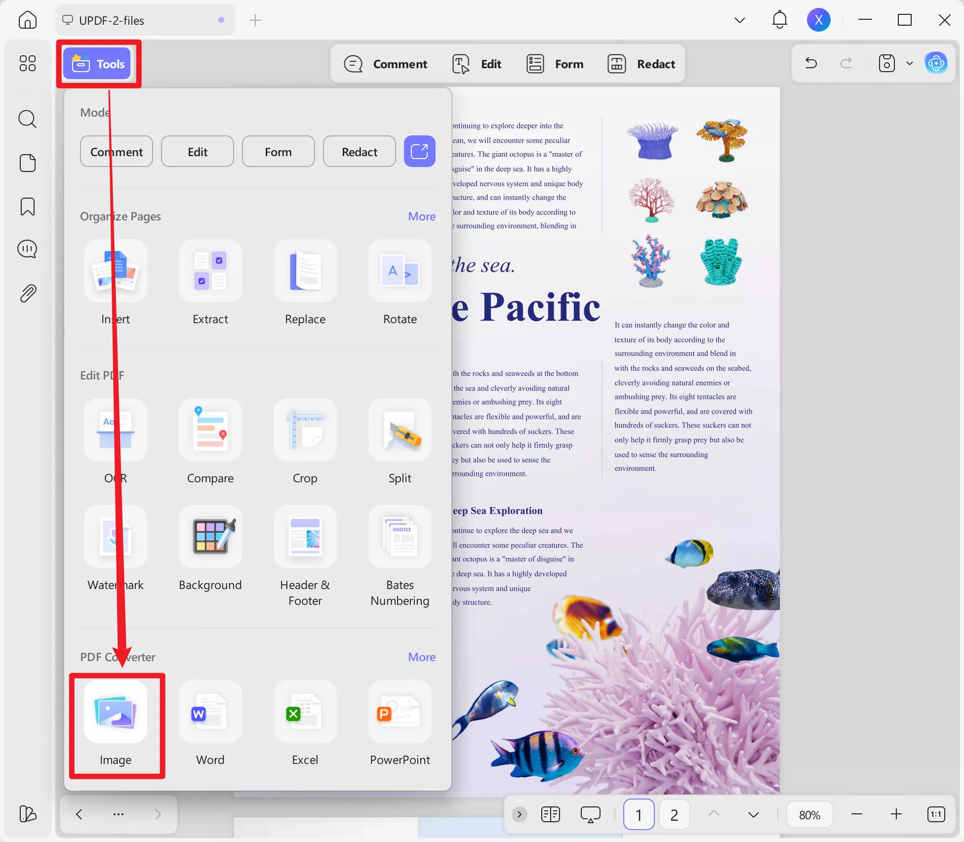 pdf vs tiff pdf to image