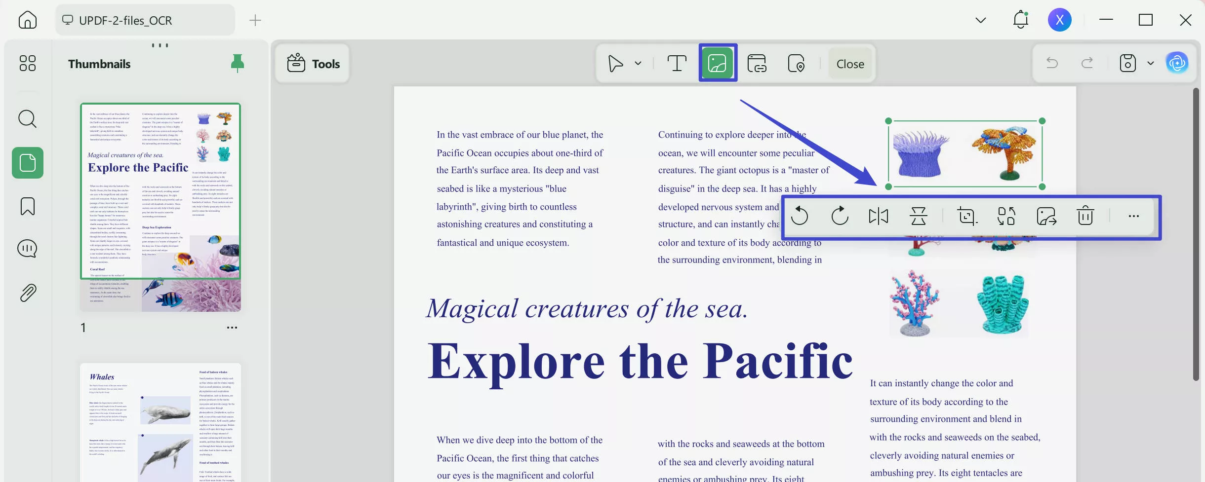 open pdf in figma edit image
