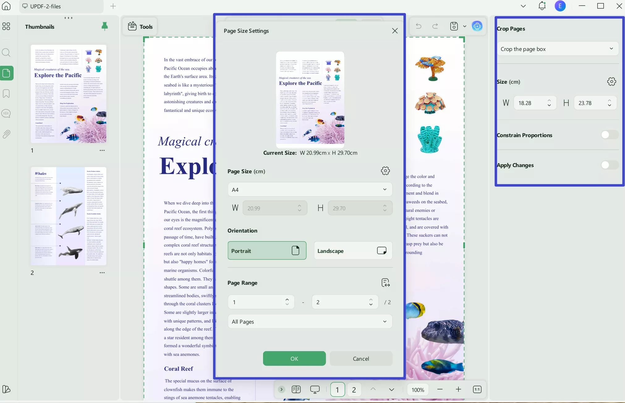 add margin to pdf options
