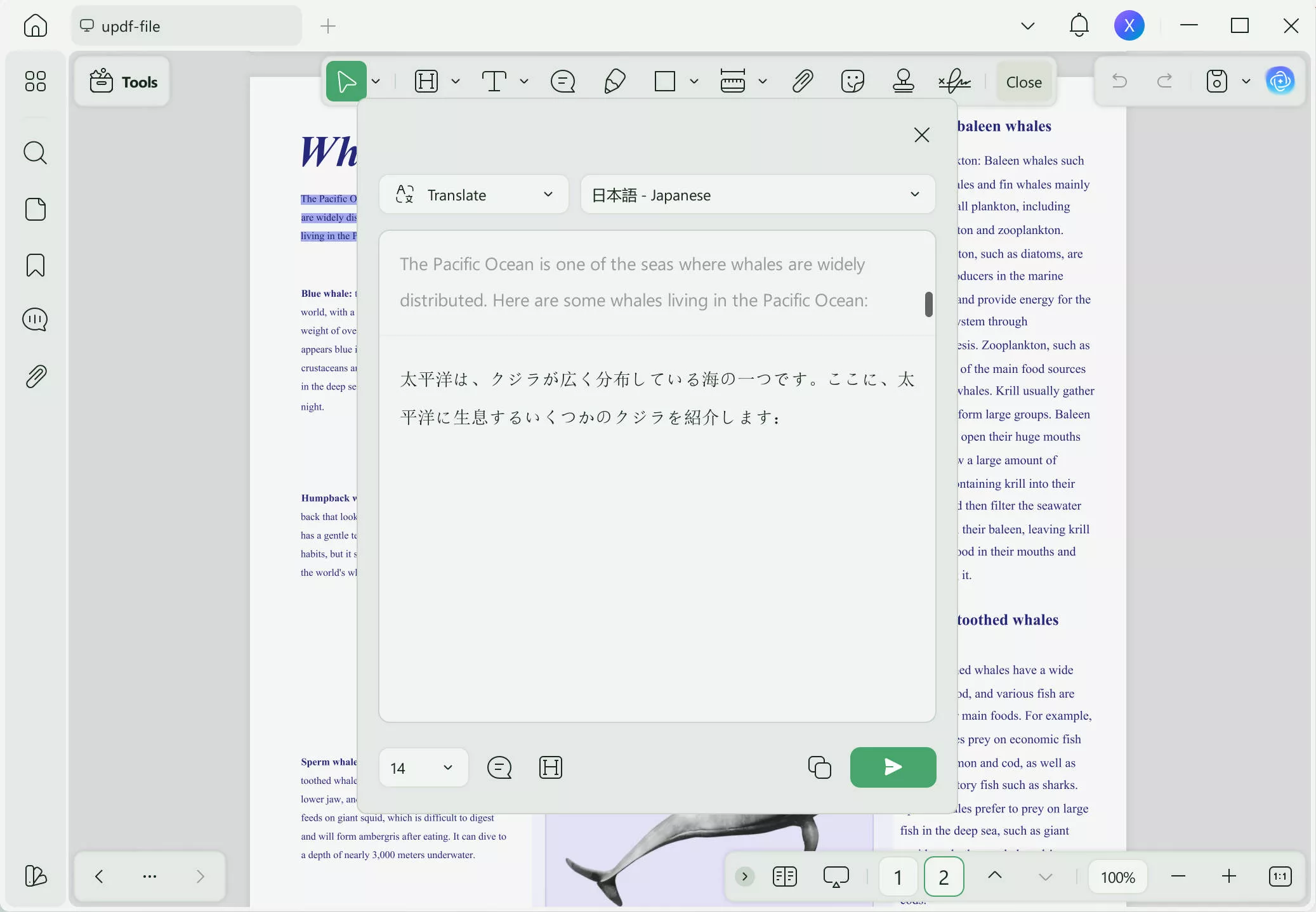 Translation will appear in a separate box.