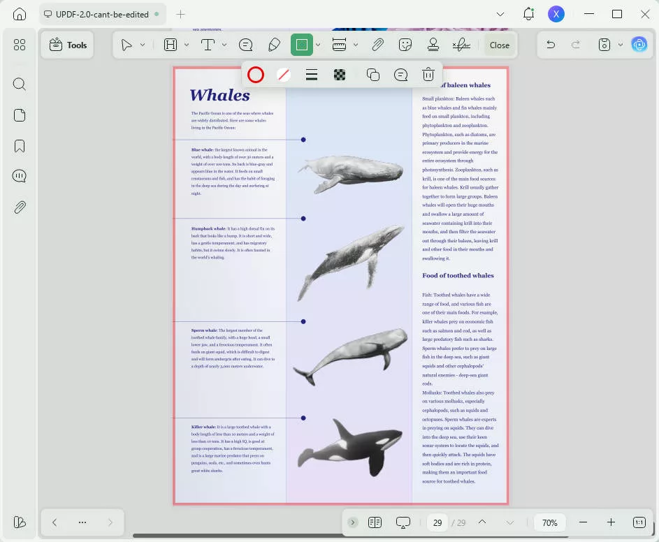 add border to pdf add border around pdf page updf 