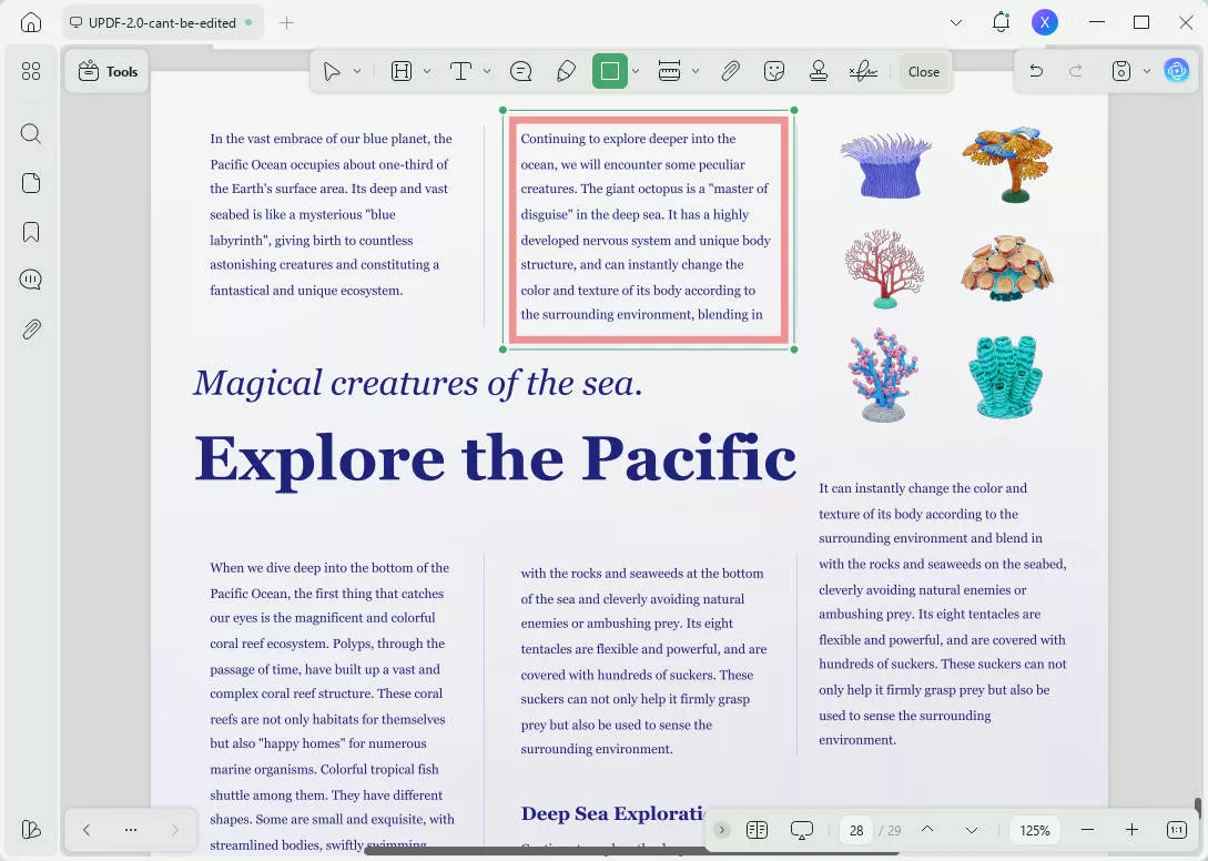 add border to pdf text