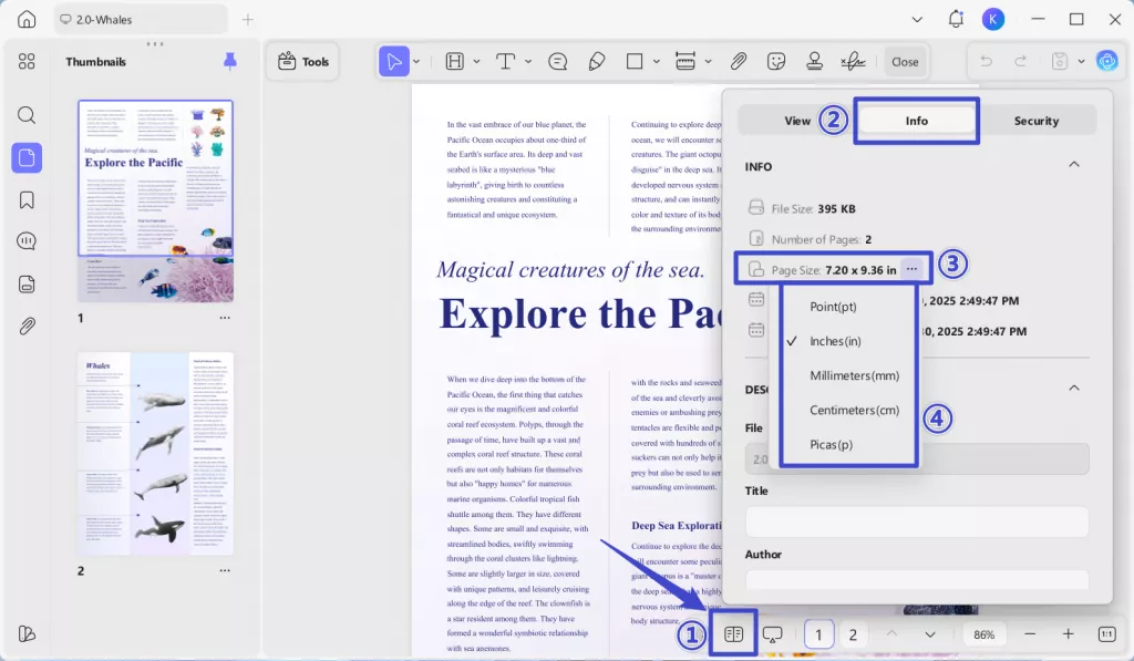 check page size in updf