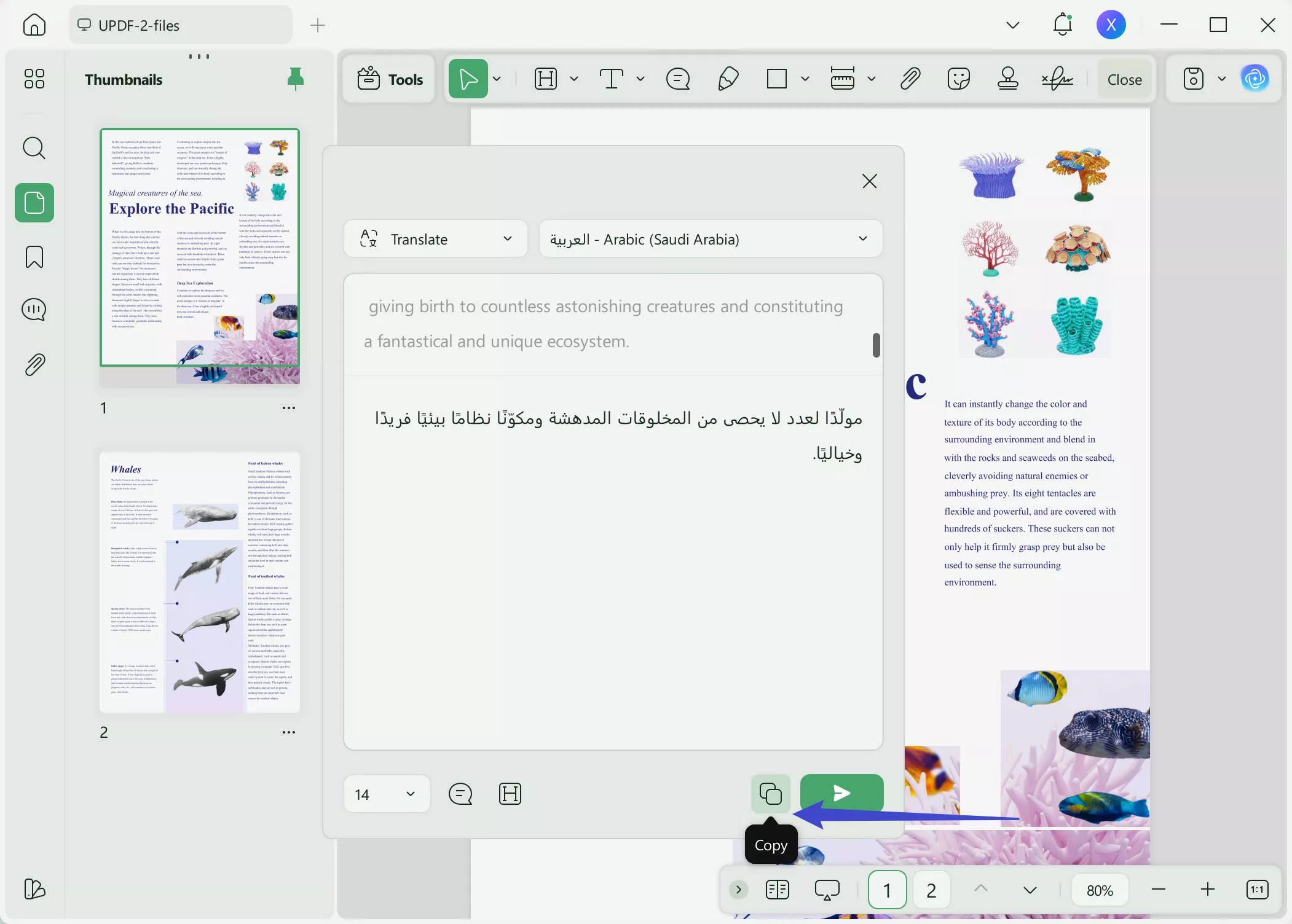 translate english to arabic copy