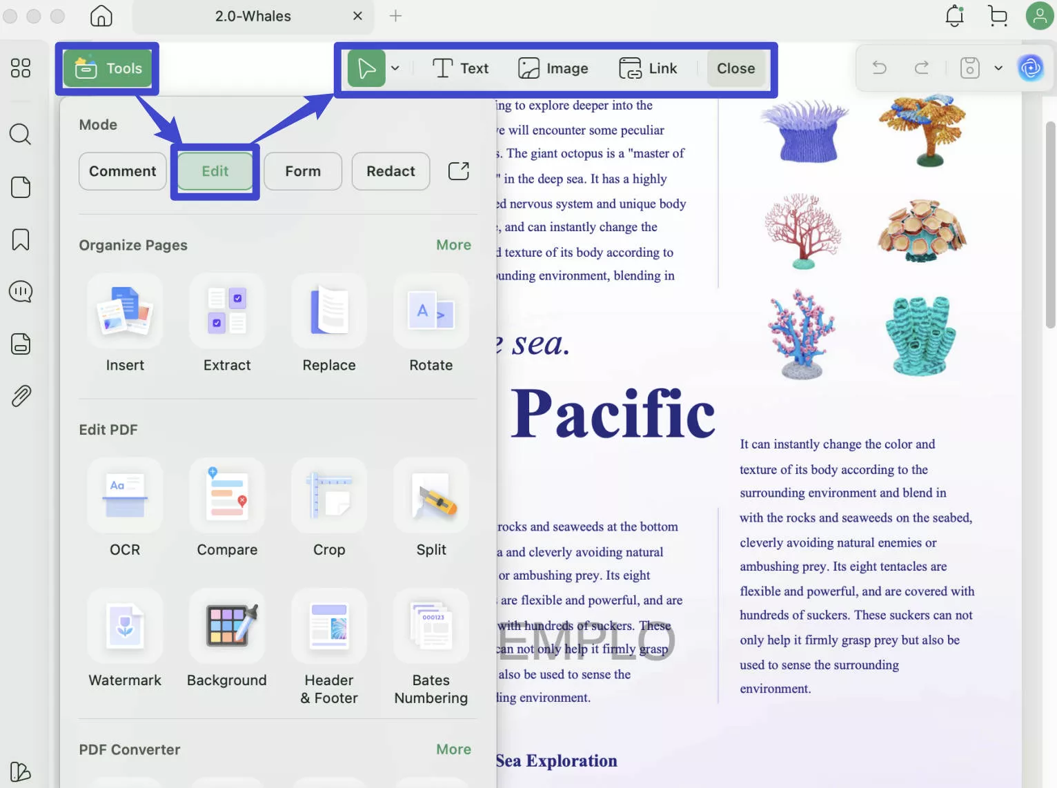 translate pdf english to telugu replace UPDF
