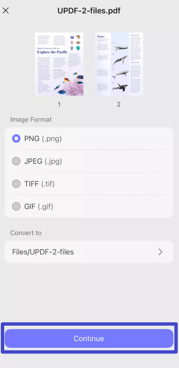 Choose the output format you need, then click "Continue"