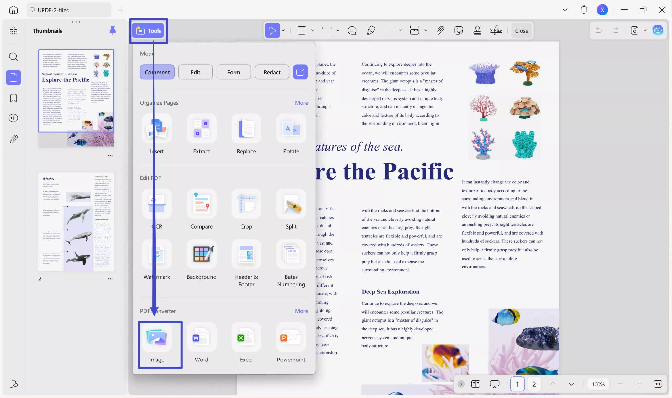 pdf to tiff export to tiff