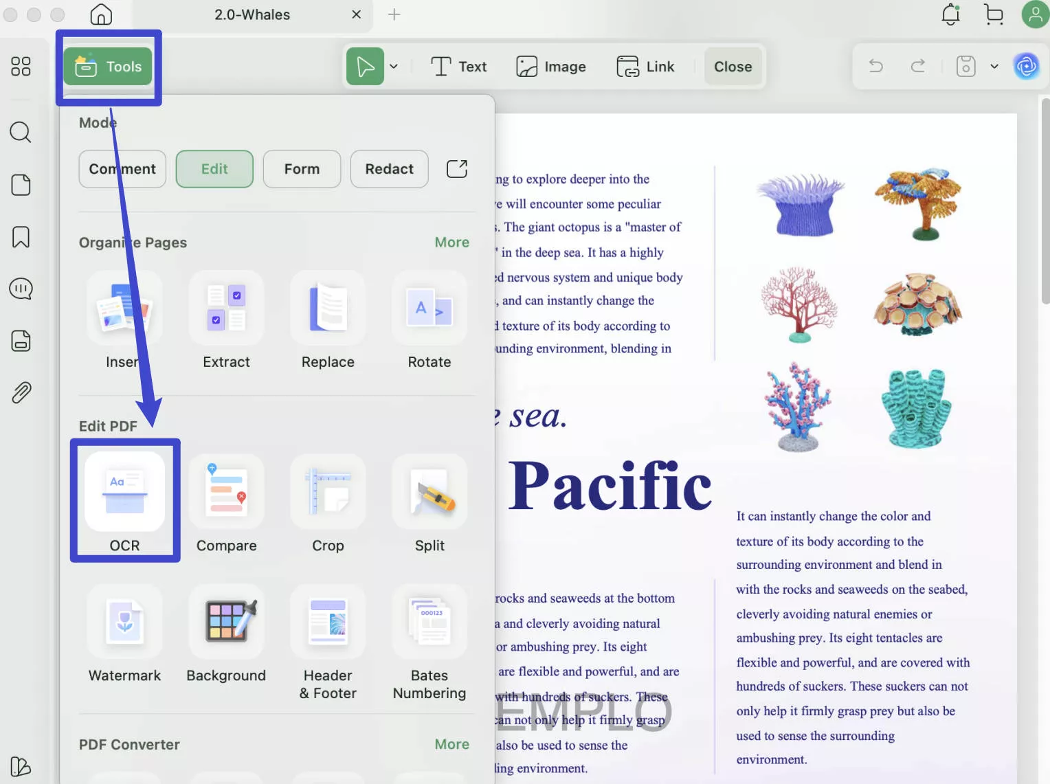 convert screenshot to word updf ocr