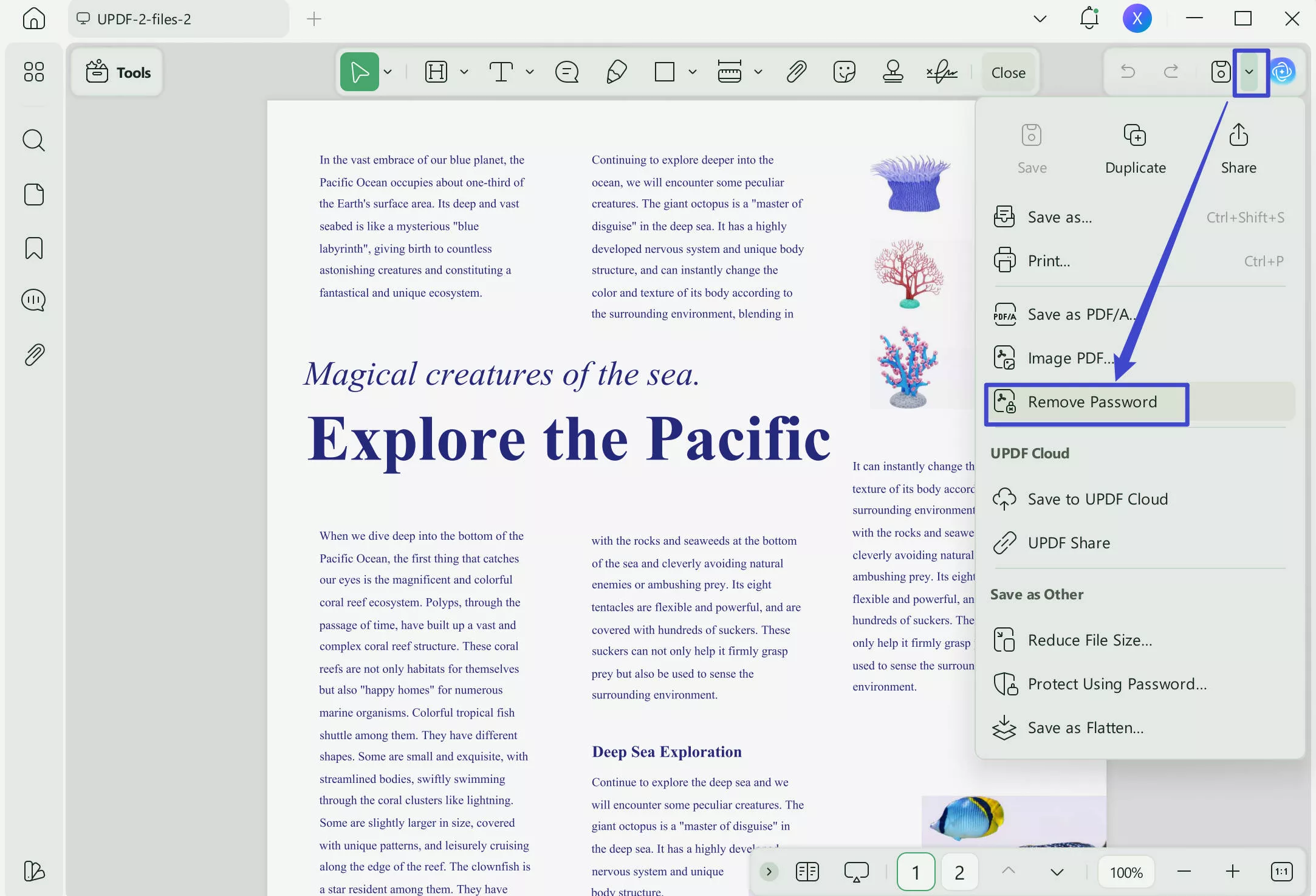 adobe won't let me sign remove security