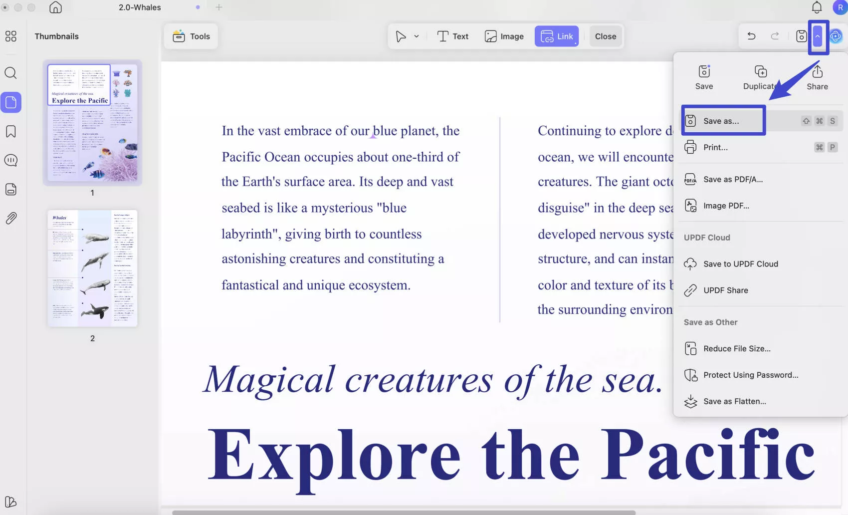 screenshot to pdf mac click on file and select save as
