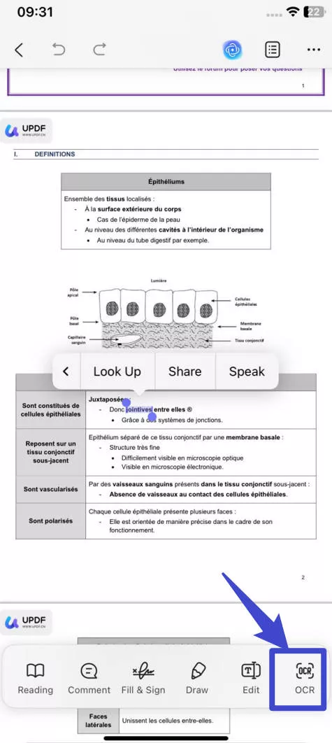 Use the OCR in UPDF for IOS