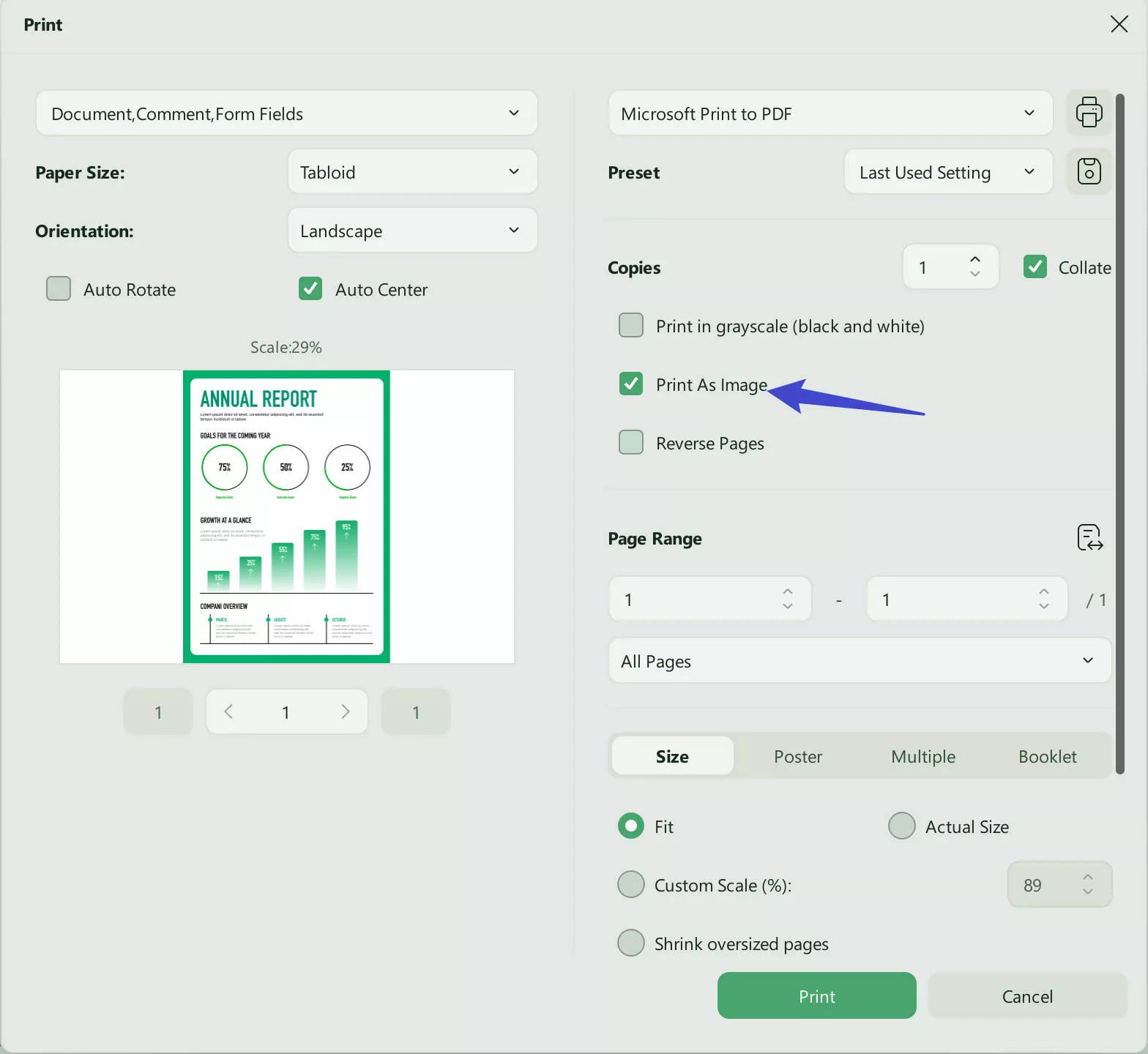 rasterize pdf printing