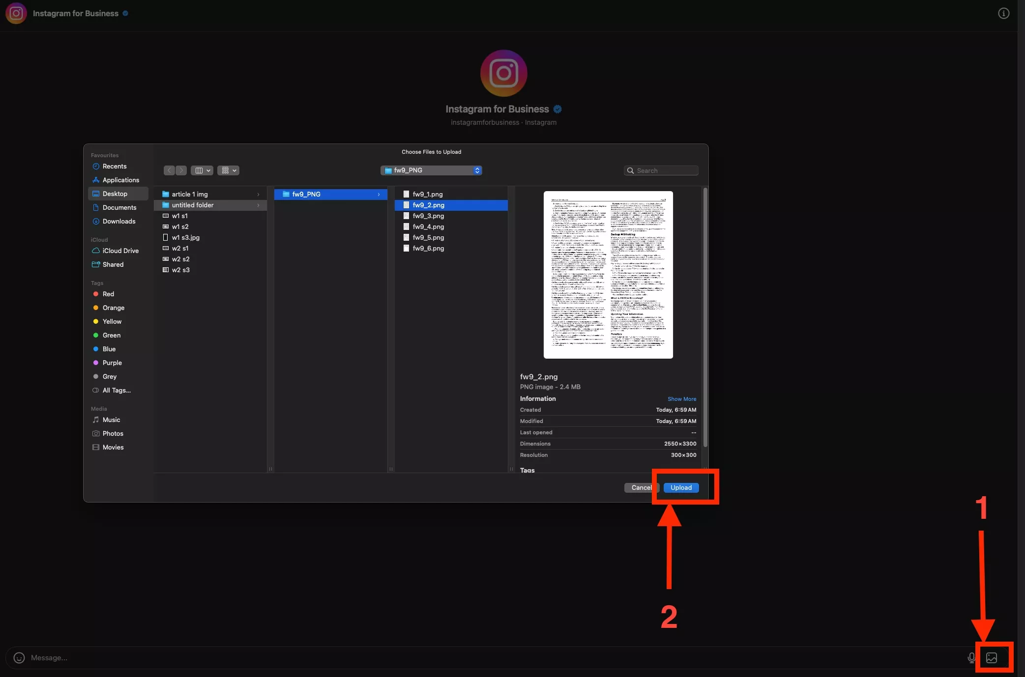  share images in Instagram messages with updf