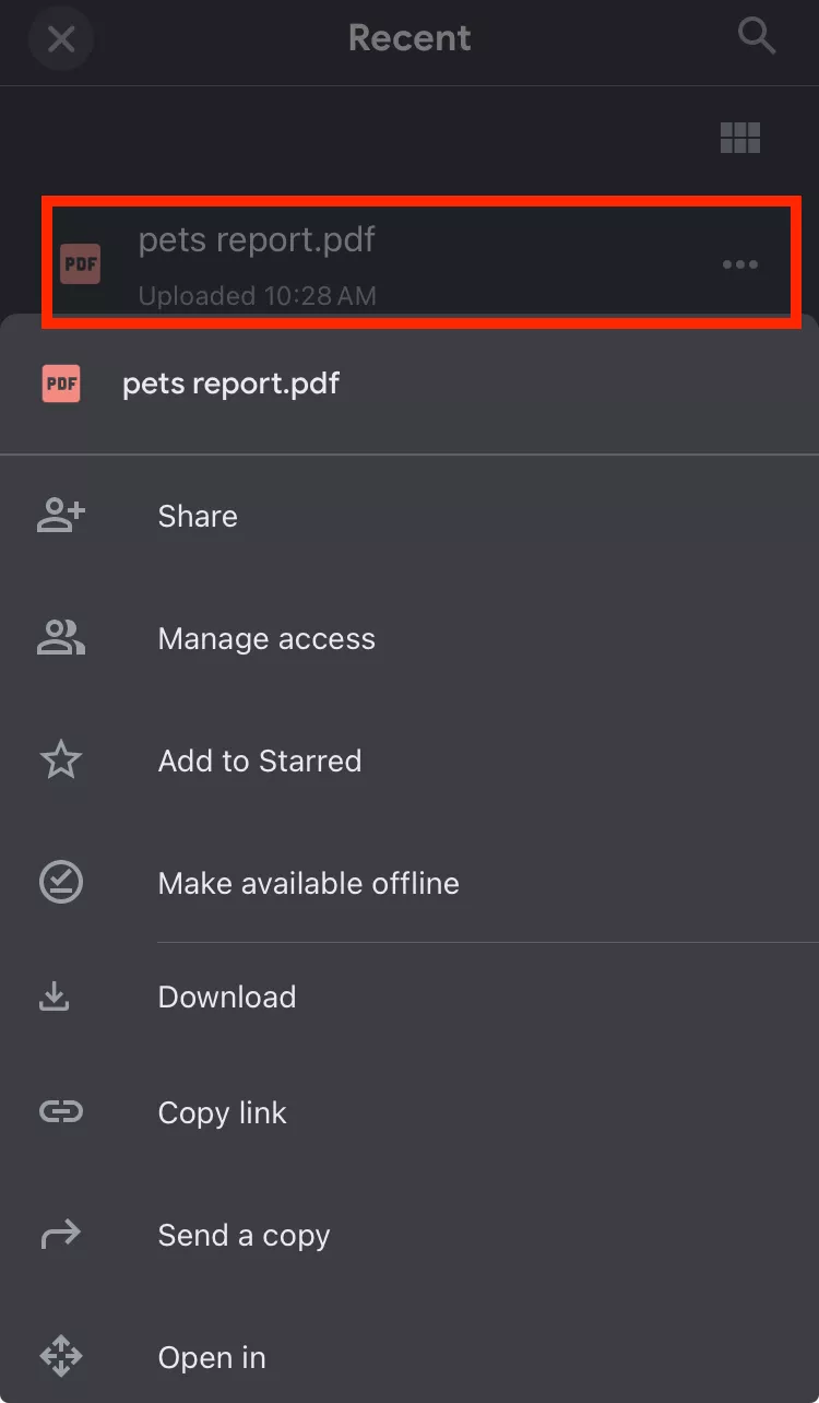 access the pdf files in google drive
