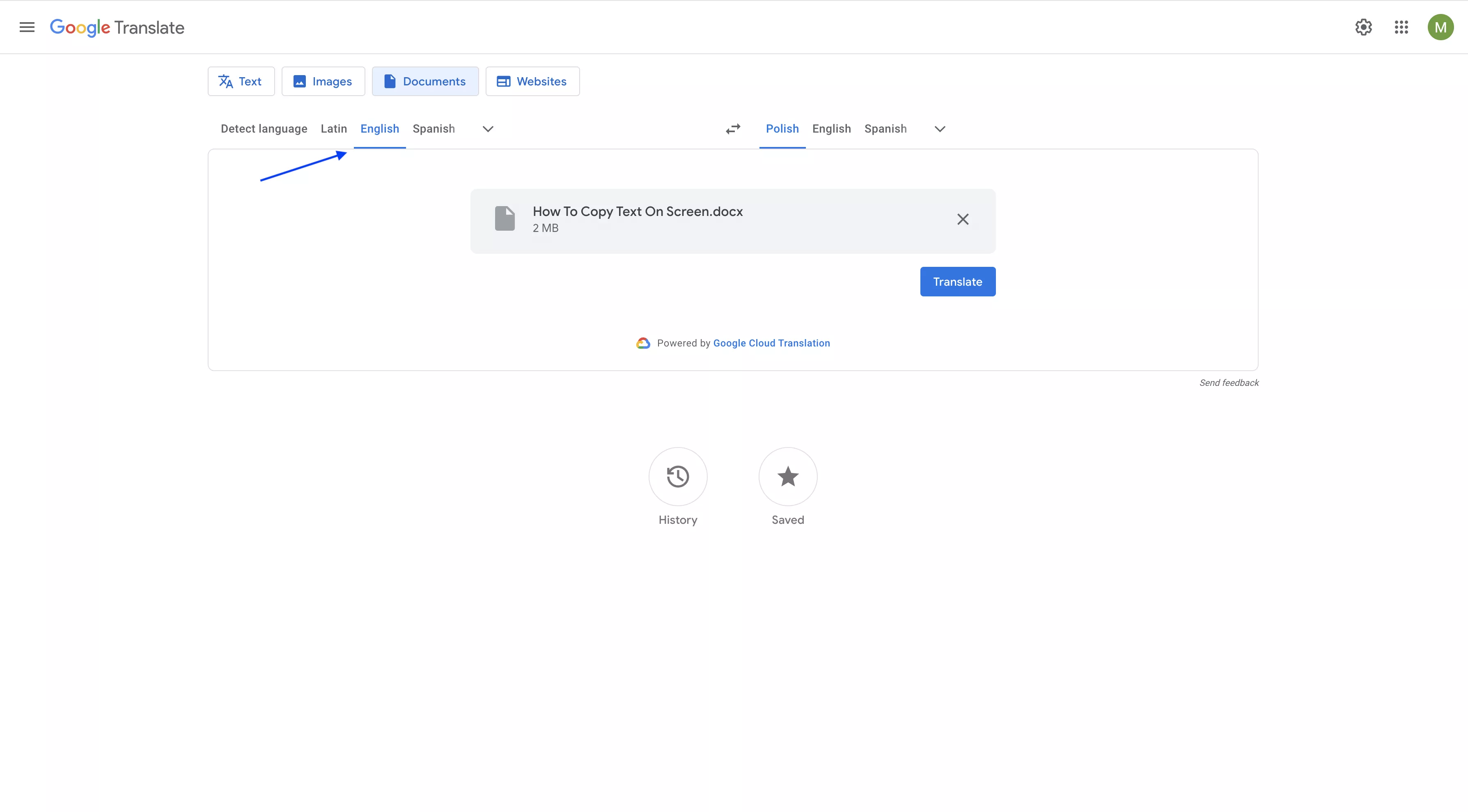 choose the source language in google translate