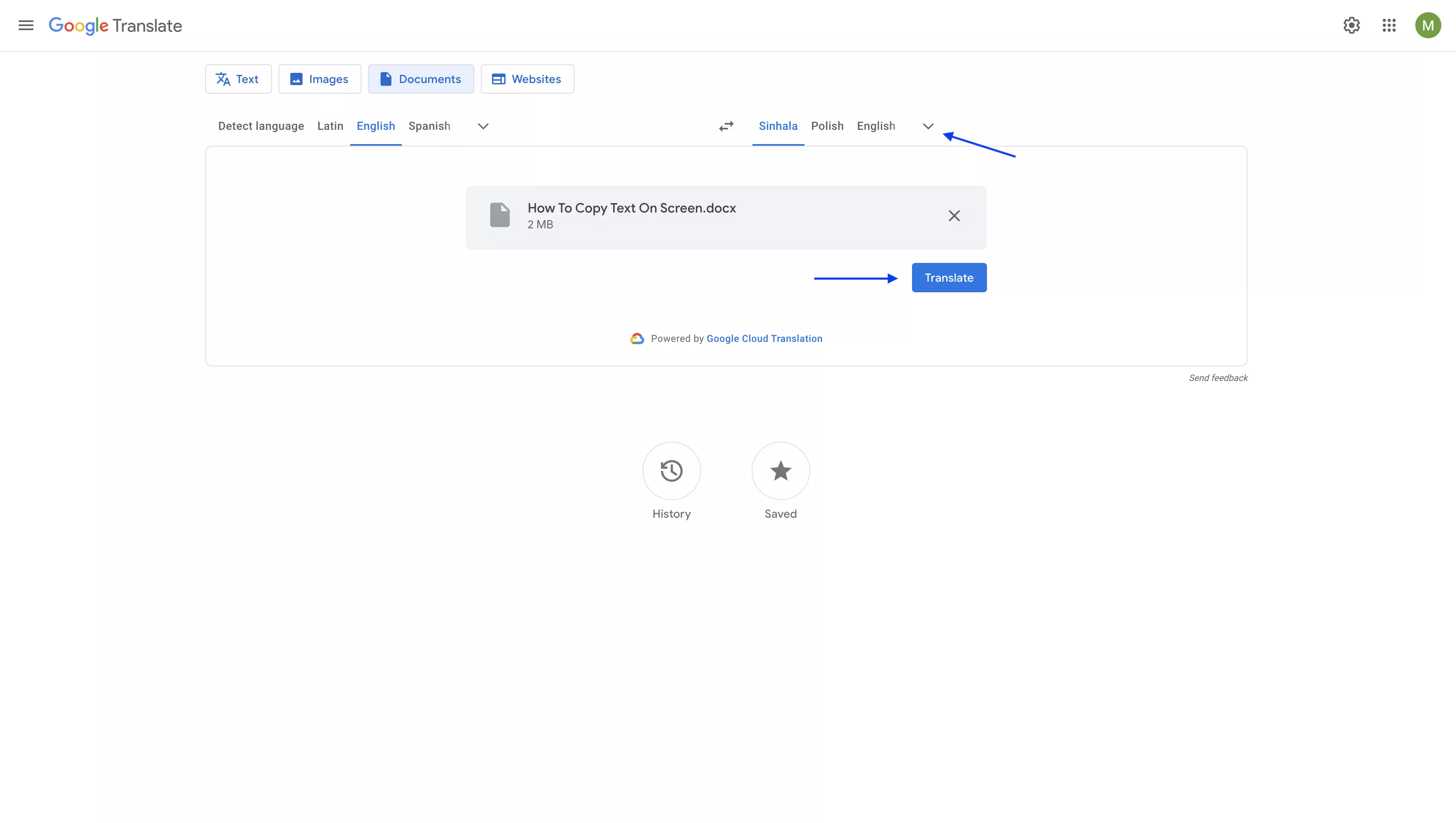 choose the target language in google translate