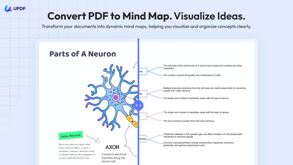 convert pdf to mind map