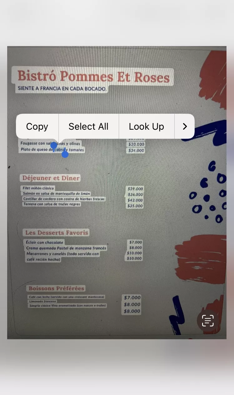 copy the text in updf for ios 1