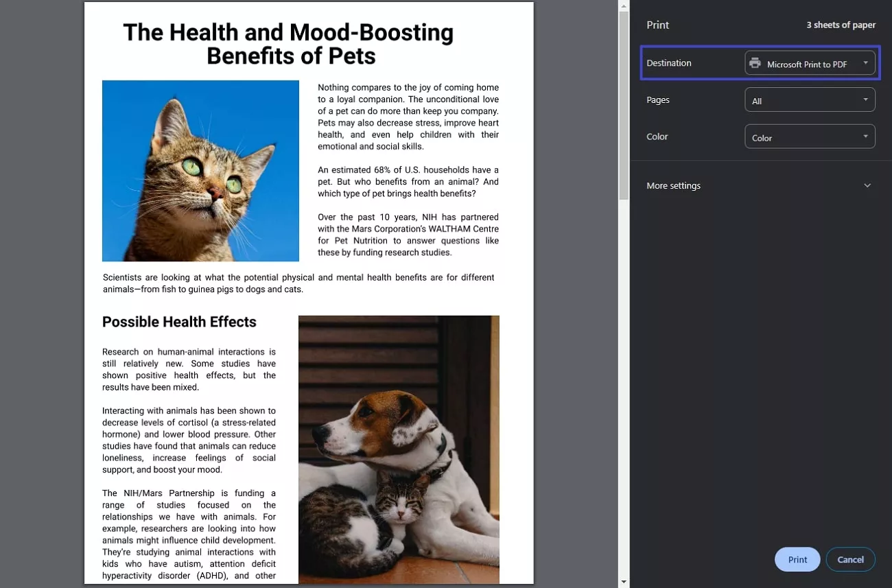 proceed to print as pdf option