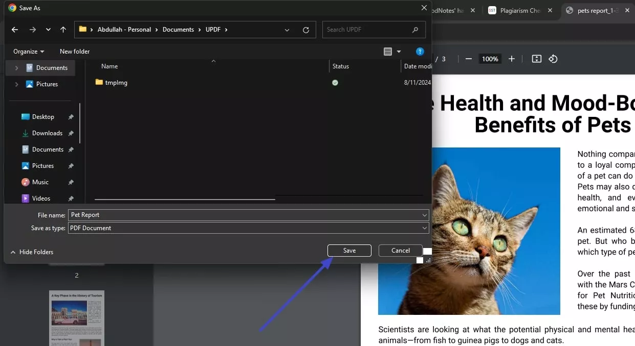 save pdf on file explorer