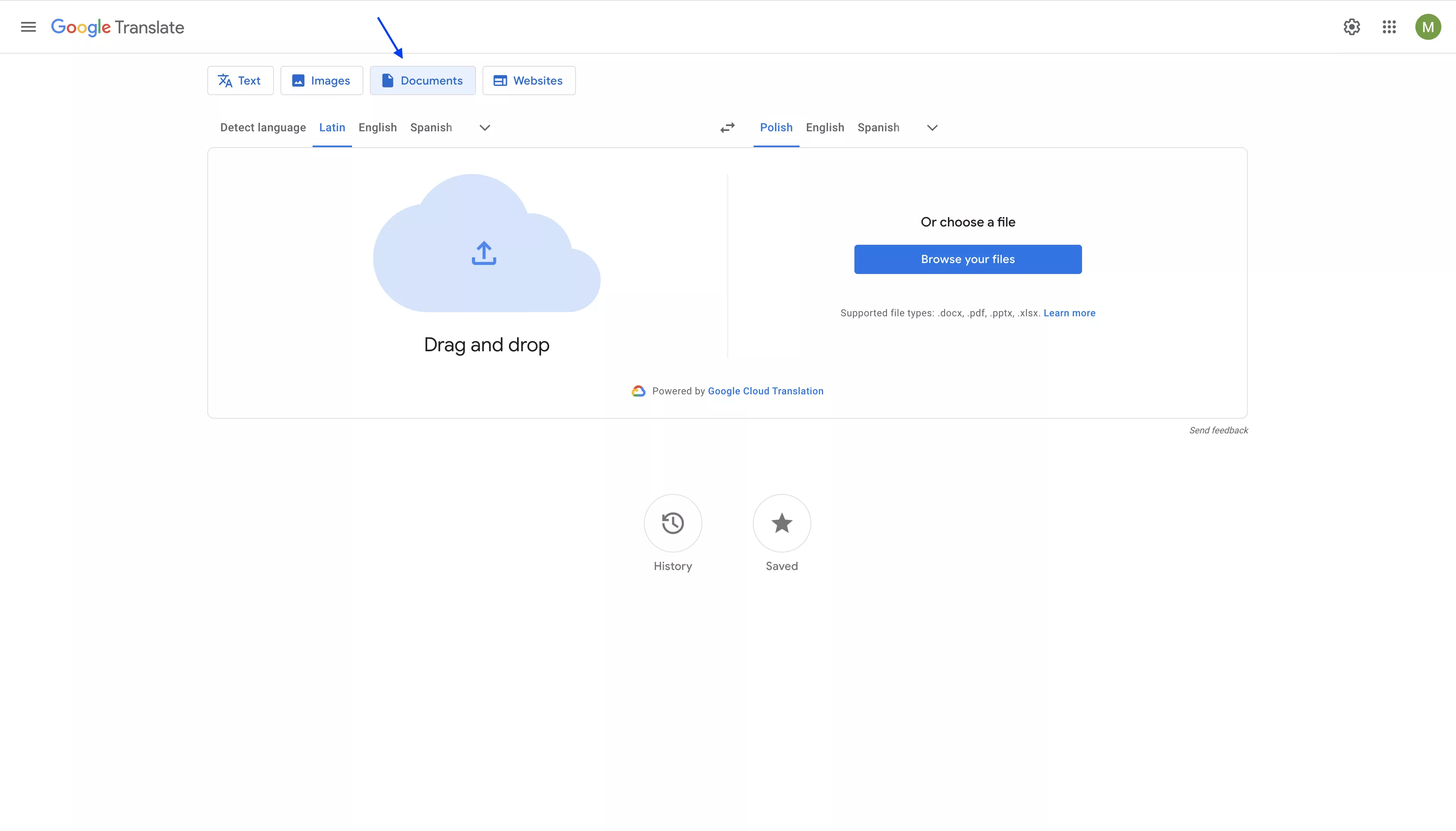 drop the pdf in google translate