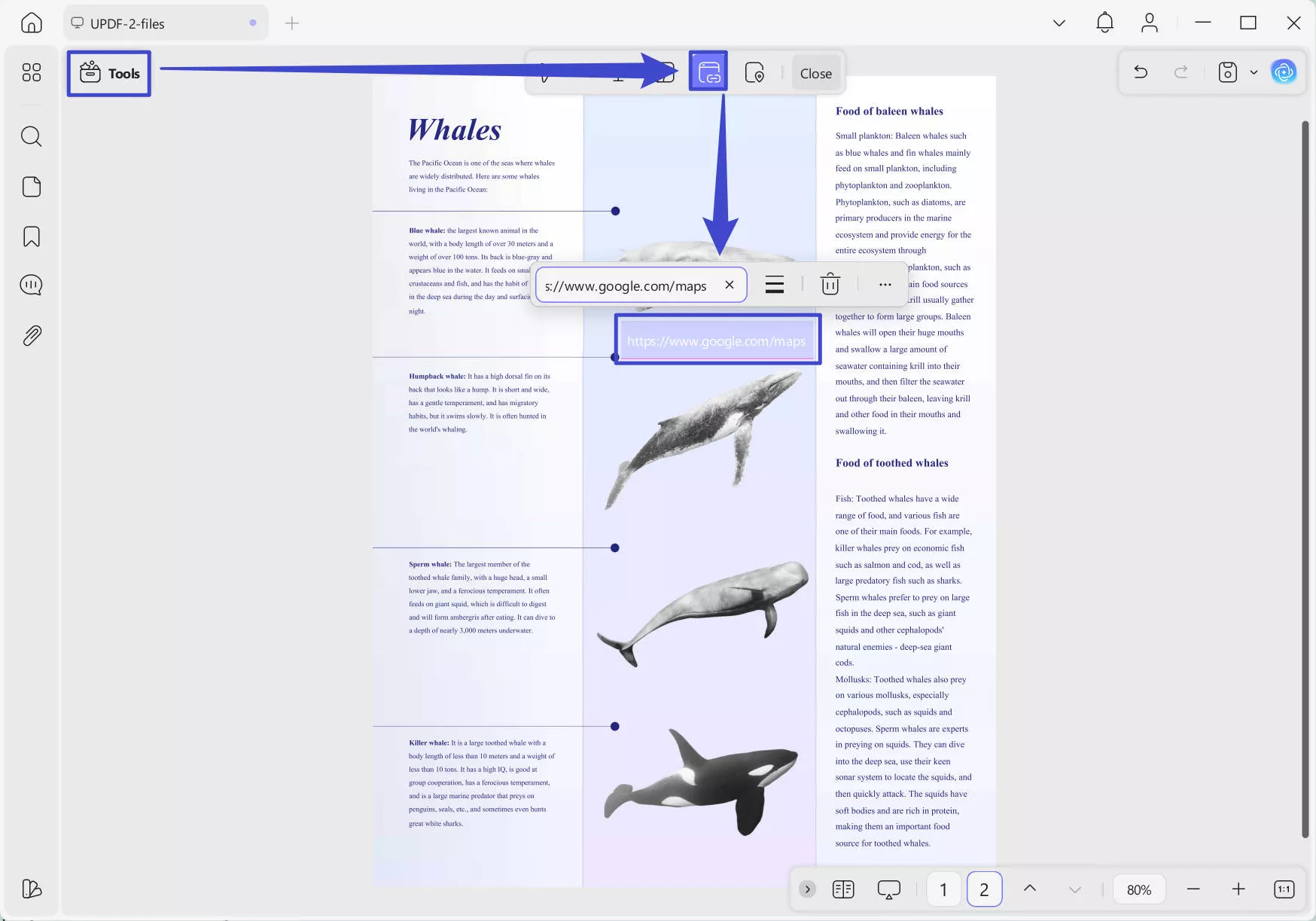 embed google map link to pdf updf windows