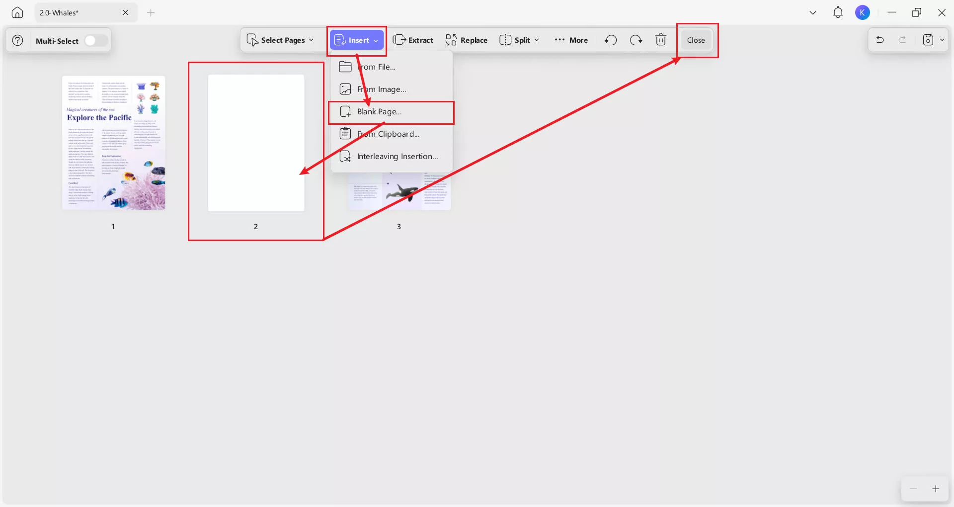 insert a blank page then close