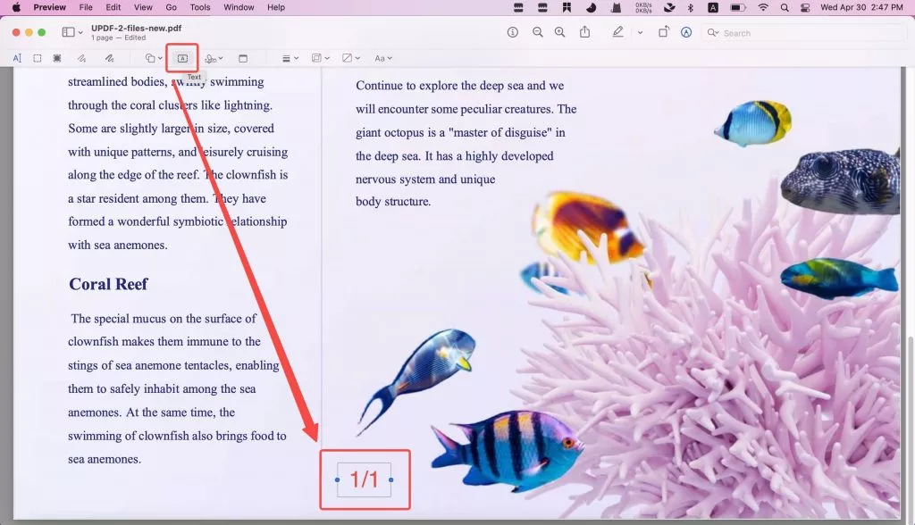 preview edit pdf page number