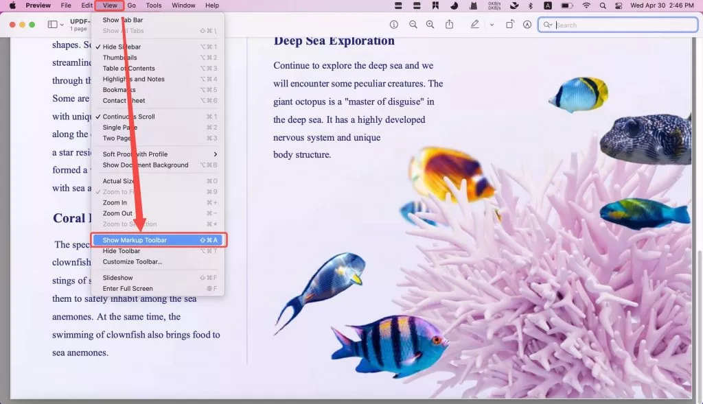 preview show markup toolbar