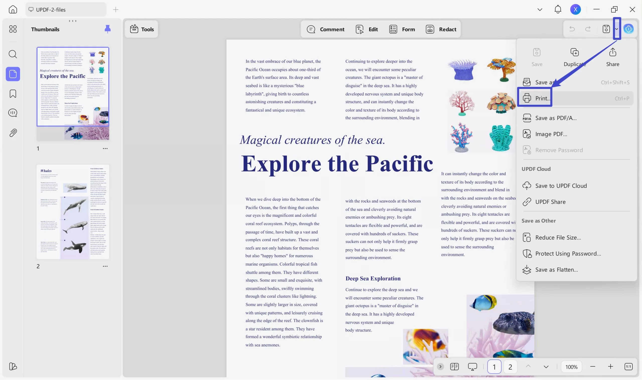 proceed to print settings updf