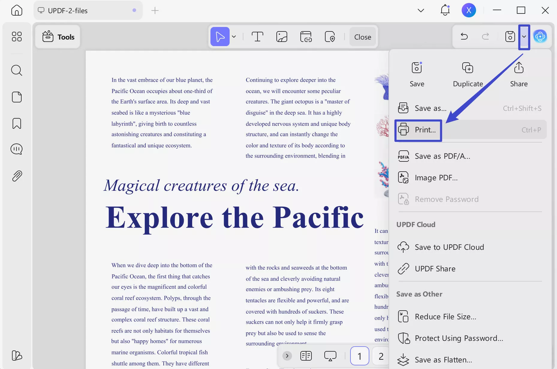 access print option in updf