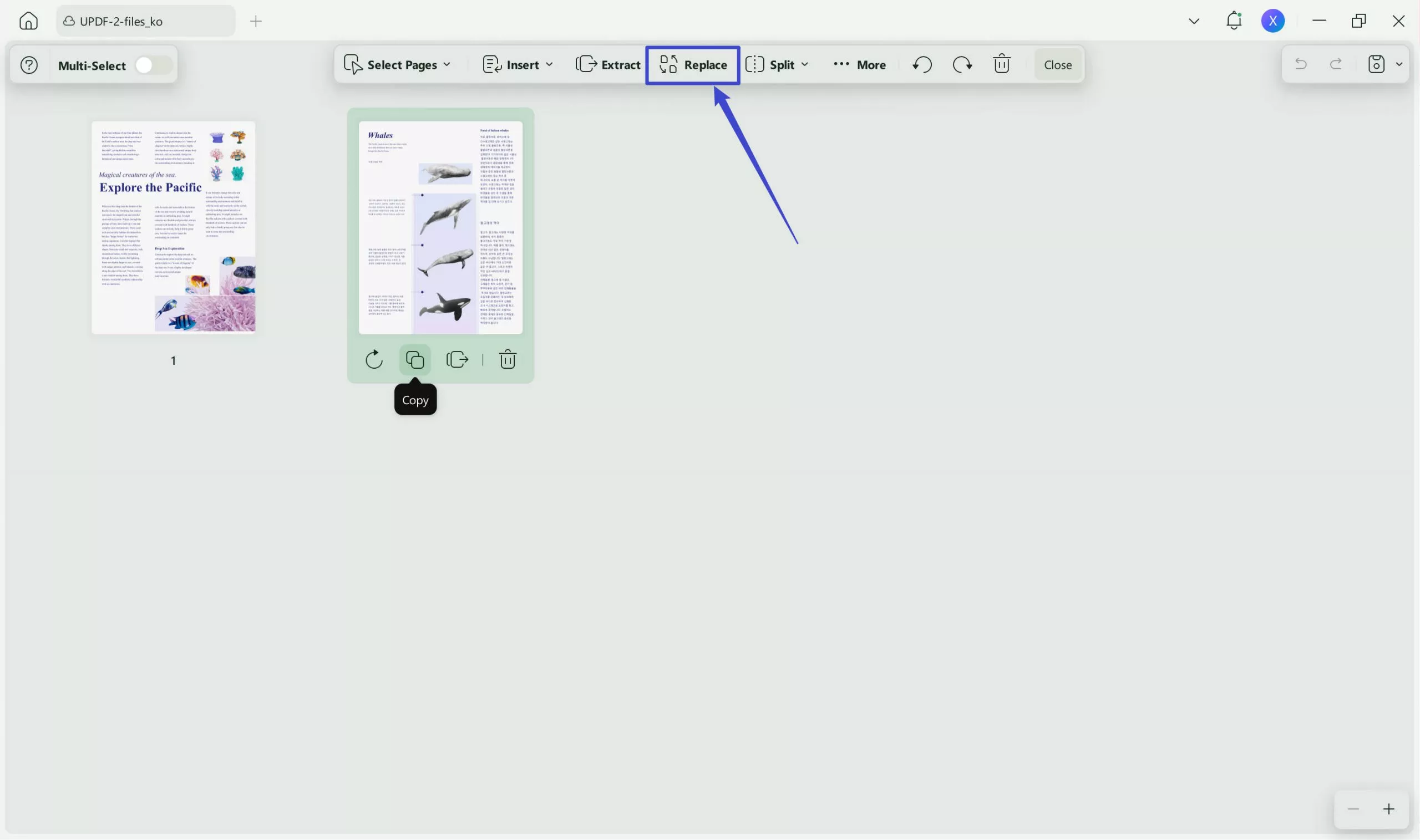 select the page and click replace with updf