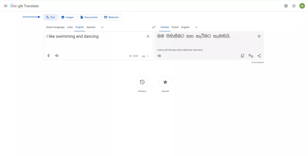 translate a few sentences with google translate