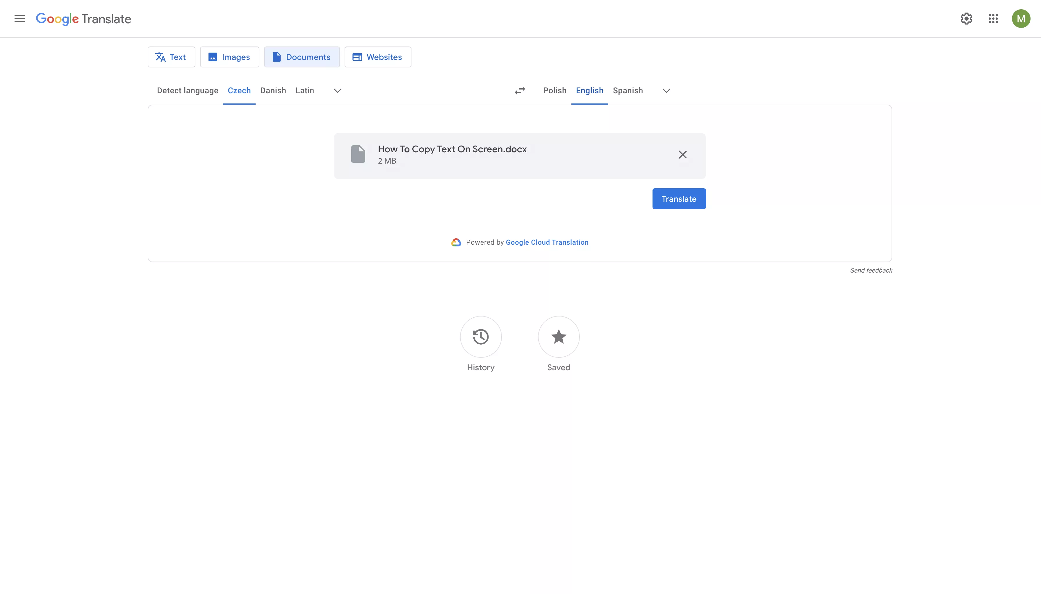 translate the czech pdf to English with google translate