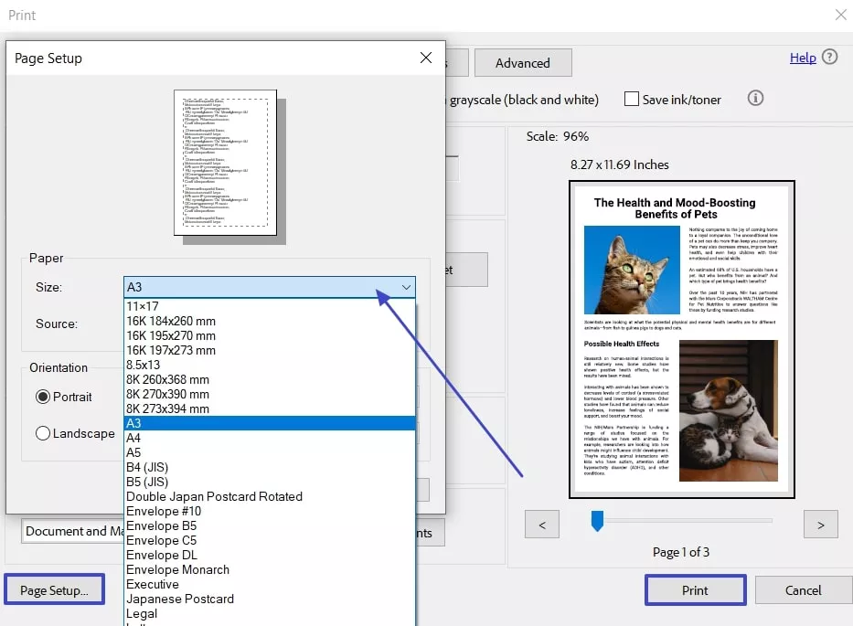 define a3 printing and continue acrobat