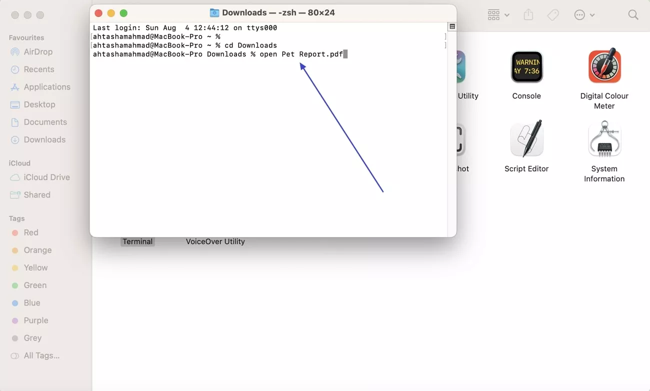 provide command to open pdf