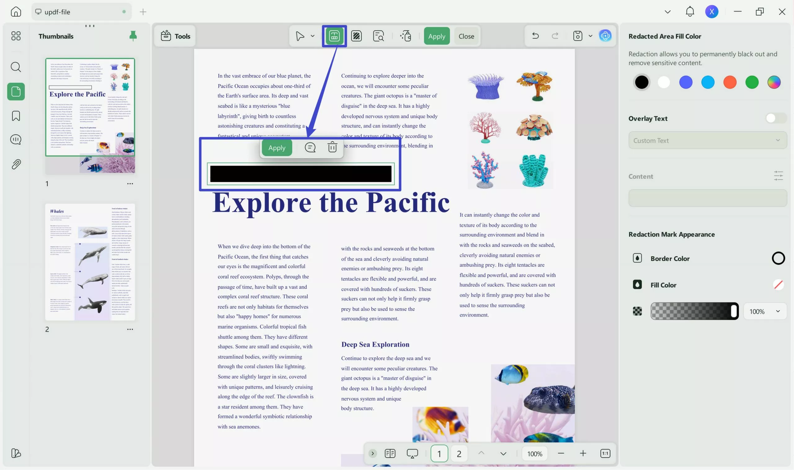 manage redaction properties updf