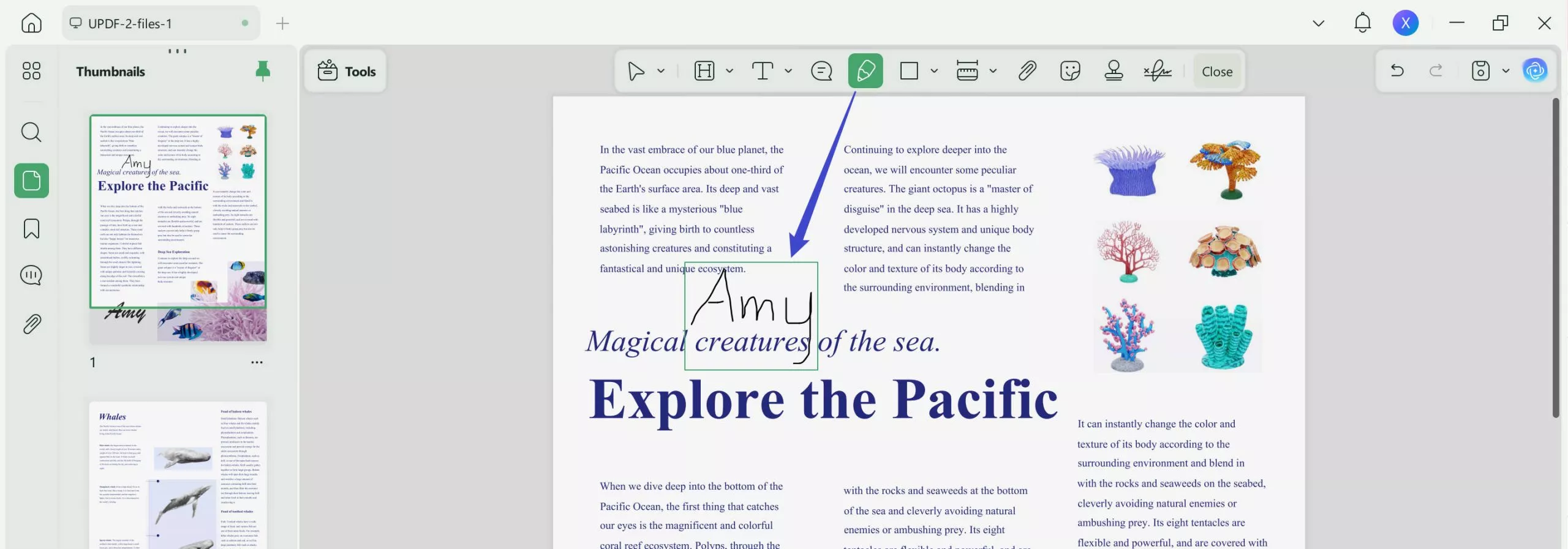 draw signature with mouse