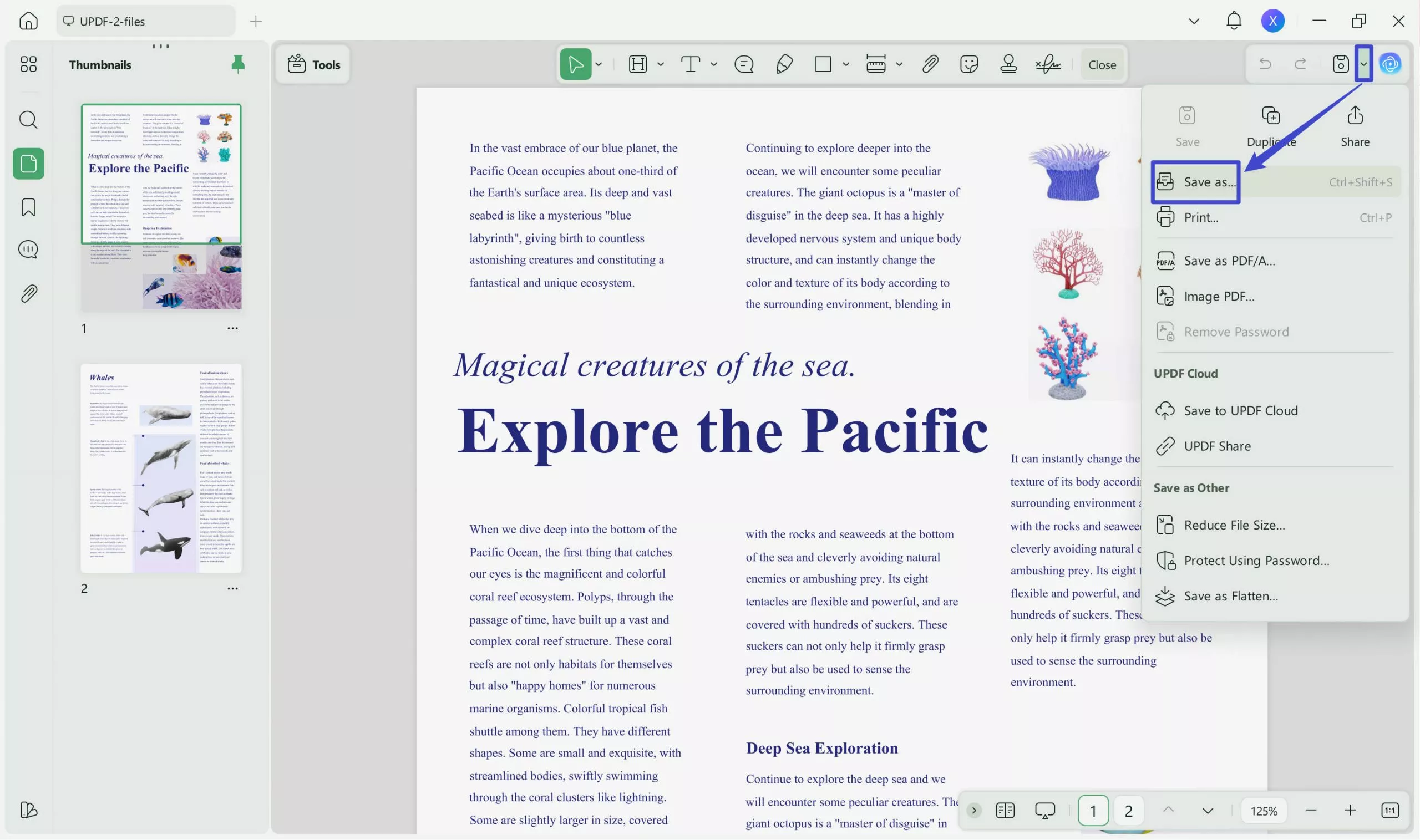 export pdf with blurred data updf