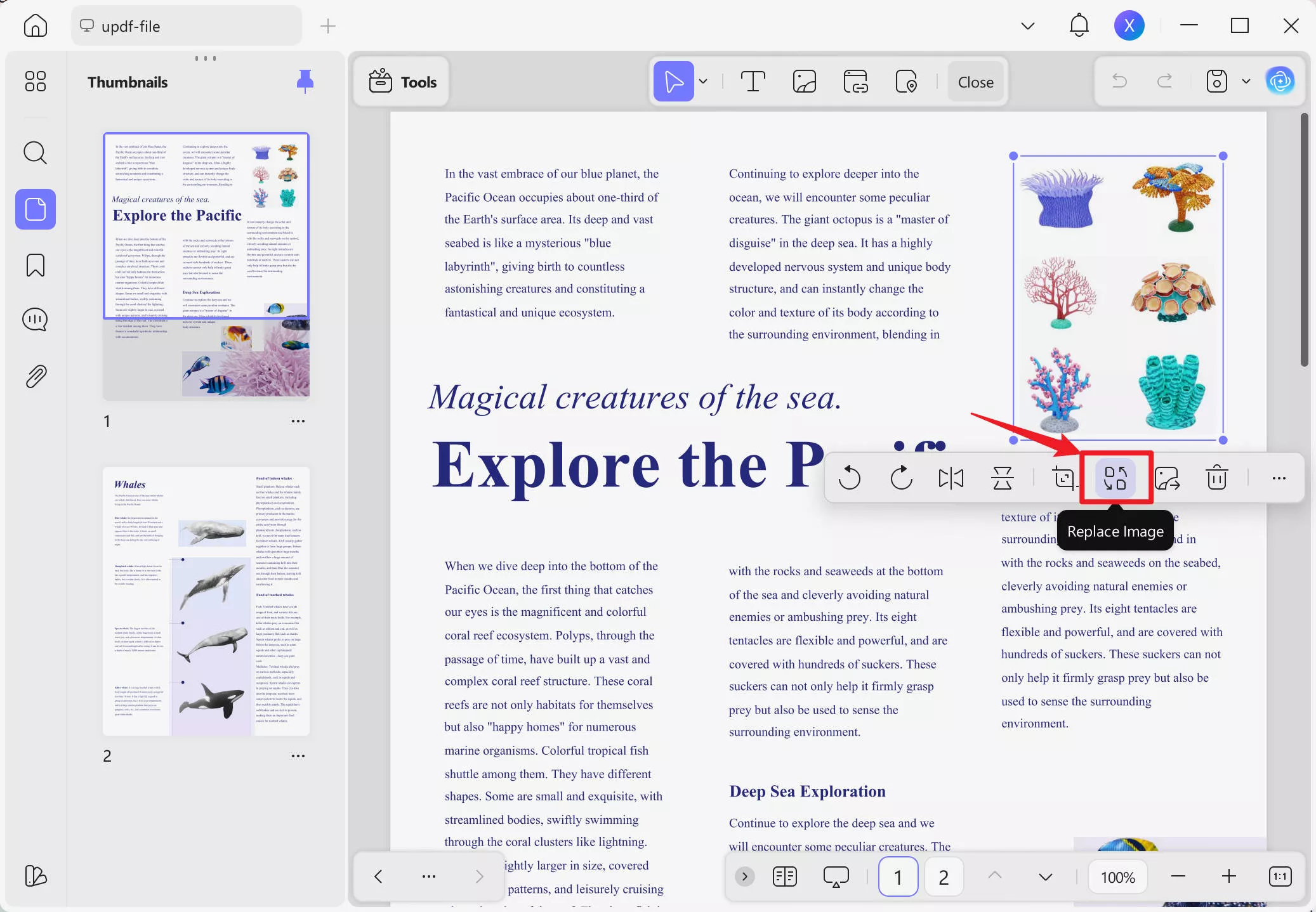 replace image in pdf